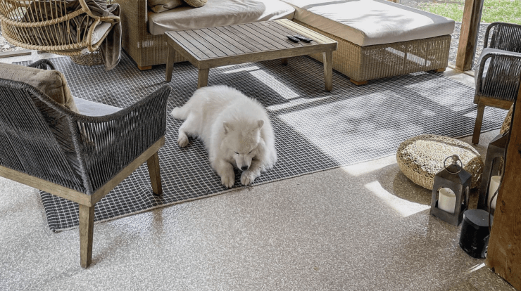 Outdoor/Patio Coatings image